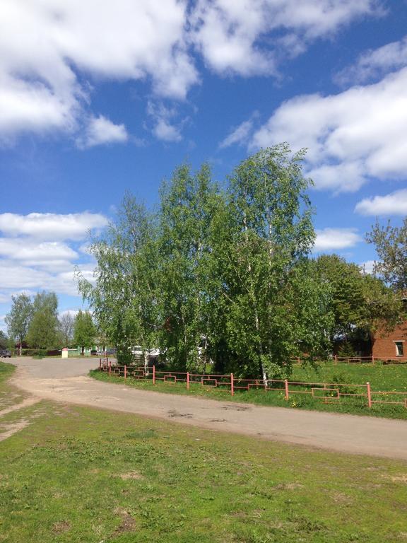 Domashniy Pansion Ponka Housе Hotel Suzdal Exterior foto